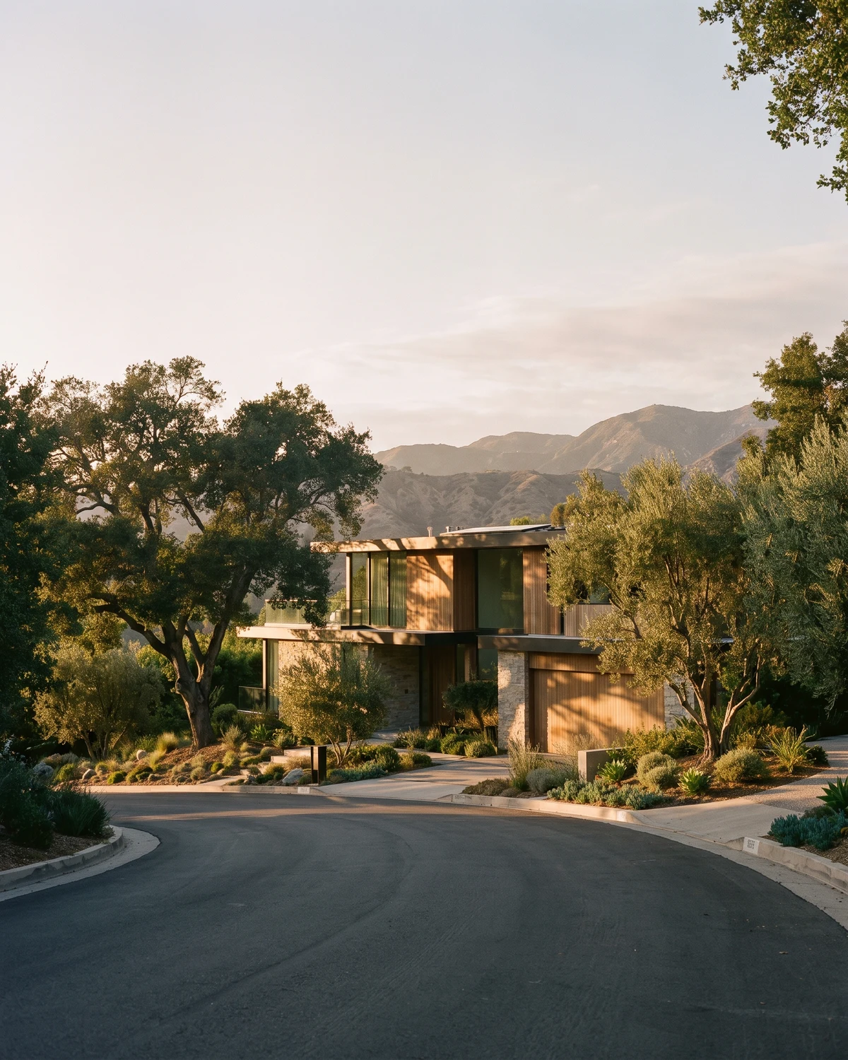 Modern Tarzana hillside home surrounded by oak trees